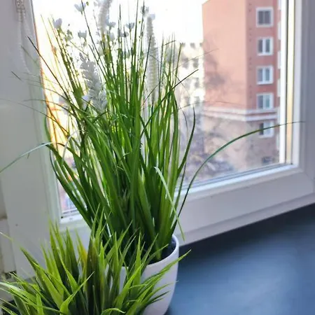 Design In Center Apartment
